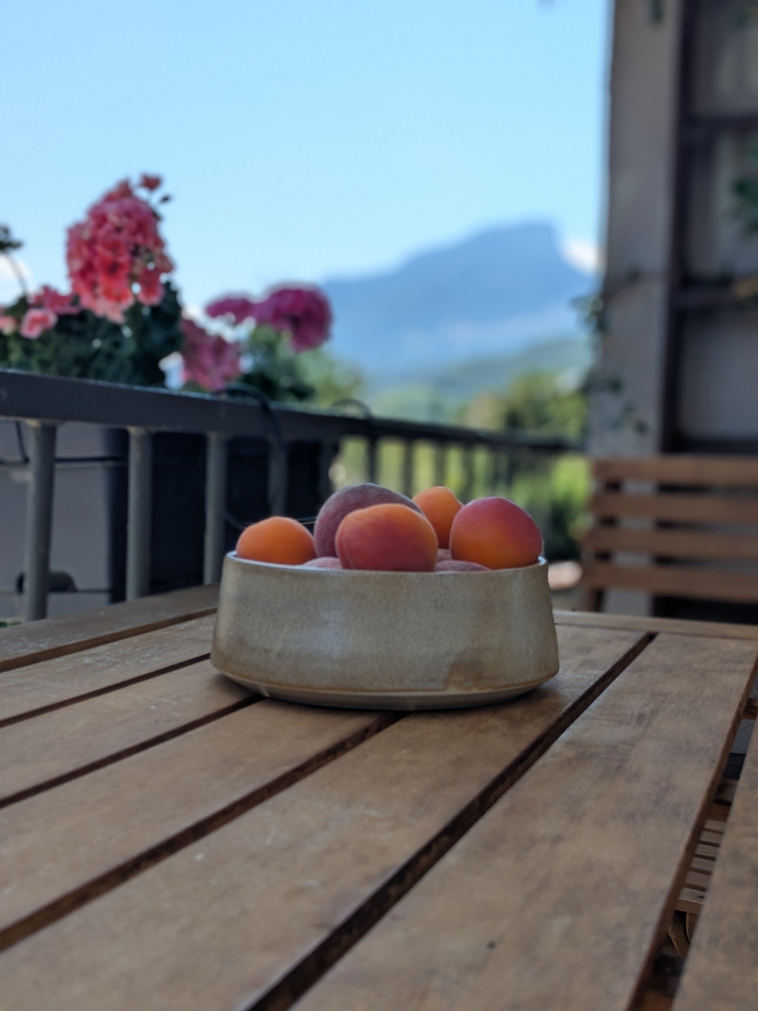 Plat en céramique garni d’abricots devant les montagnes de Savoie